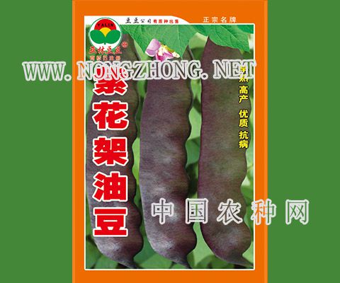 紫花架油豆